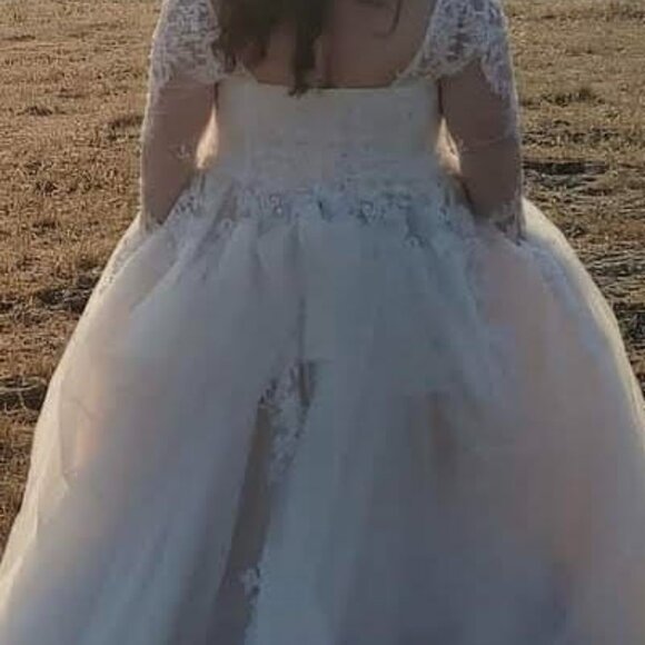 David's Bridal Collection Wedding Dress with Train - Picture 8 of 9